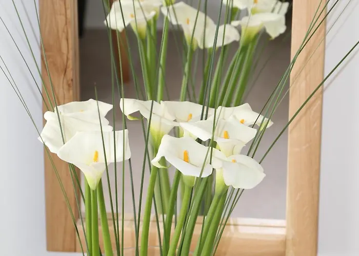 Camelia 2 - Psarou View - Private Pool And Jacuzzi Casa de Férias *