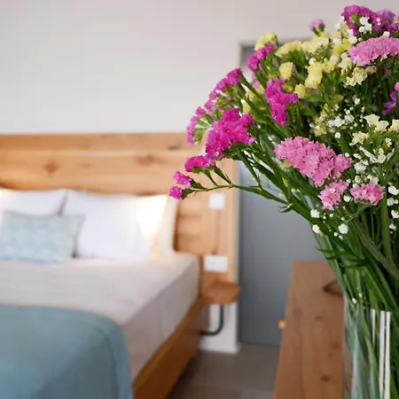 펜션 Camelia 2 - Psarou View - Private Pool And Jacuzzi *