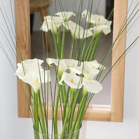 Camelia 2 - Psarou View - Private Pool And Jacuzzi Holiday home *